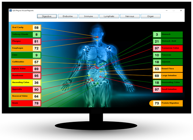 The Body Scan Technique Module One: Supporting the Physical Body with  Essential Oils and Bio-energetic Corrections