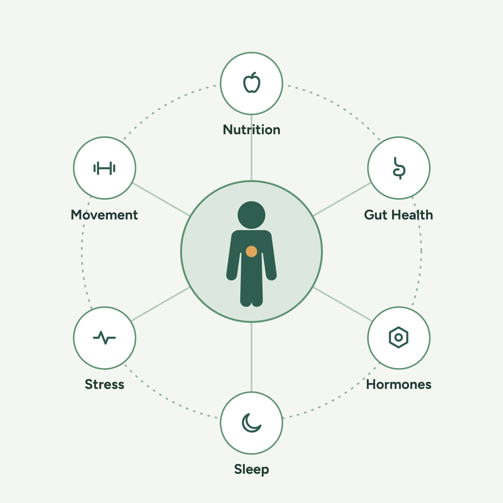 Functional Medicine page Illustration Functional Medicine Practitioner in Castle Rock CO